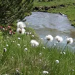 Apartman Hinkerhof *