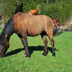 Apartman Hinkerhof Schladming