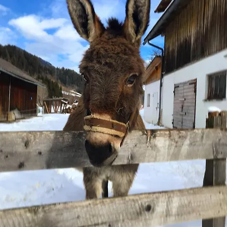 아파트 Hinkerhof *