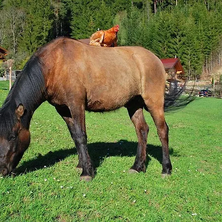 Apartmán Hinkerhof Schladming