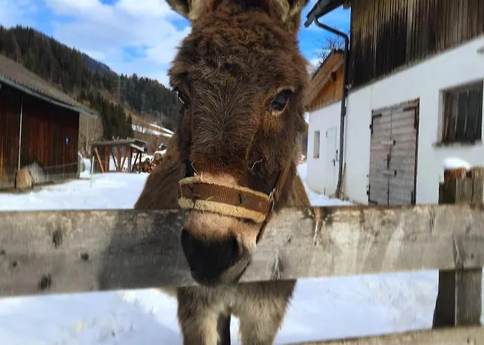 شقة شقة هينكرهوف *