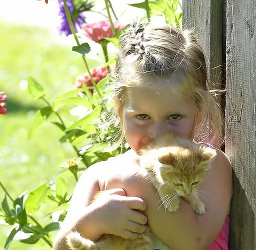 شقة هينكرهوف شقة سخلادميخ