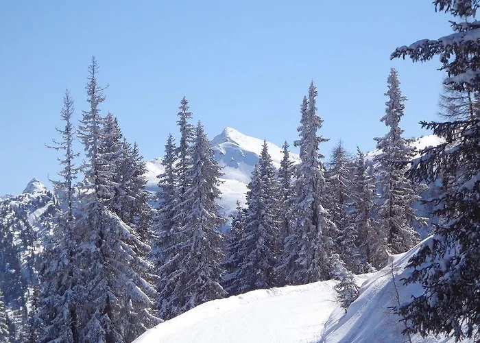 Apartament Hinkerhof