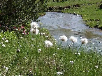 شقة شقة هينكرهوف *