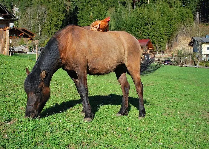 Appartamento Hinkerhof Schladming