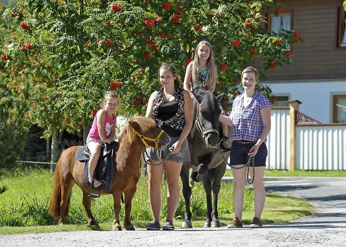 شقة هينكرهوف * سخلادميخ